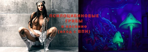 2c-b Белокуриха