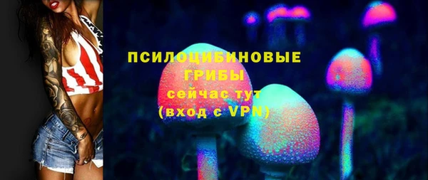2c-b Белокуриха