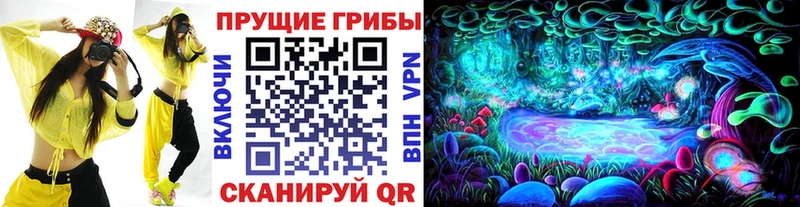 дарнет шоп  Гай  это формула  Галлюциногенные грибы Cubensis 