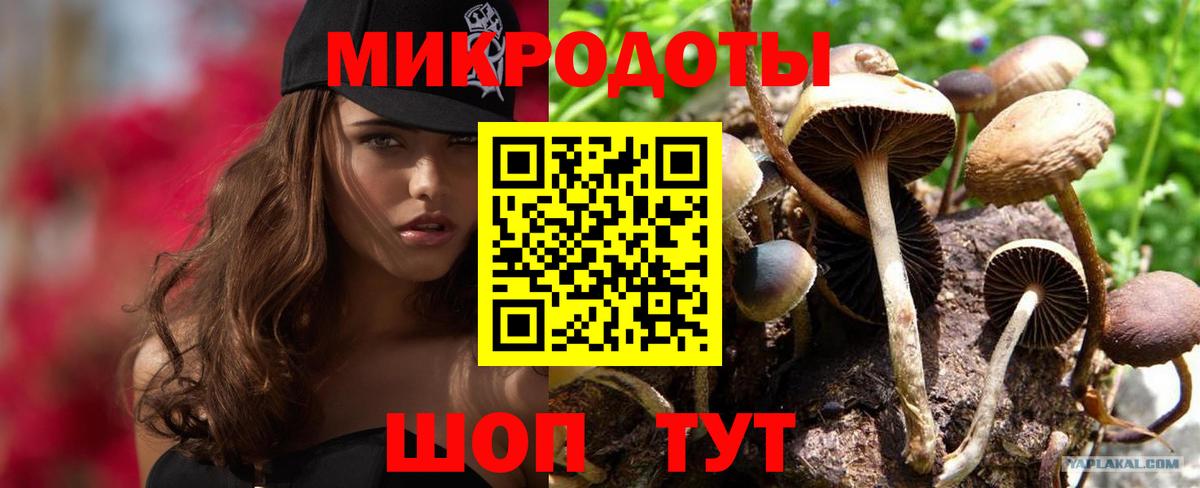 Гай  Псилоцибиновые грибы GOLDEN TEACHER  Вход с VPN  Псилоцибиновые грибы MAGIC MUSHROOMS 